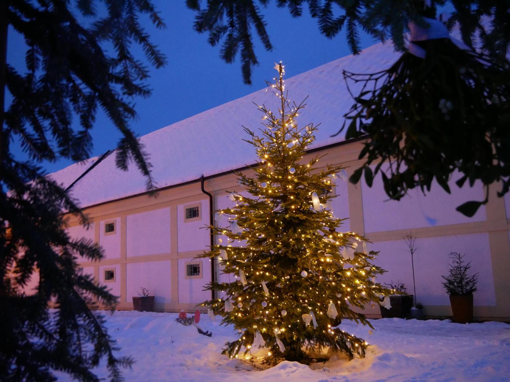 Apartmán Sychrova Zďár nad Sázavou Exterior foto