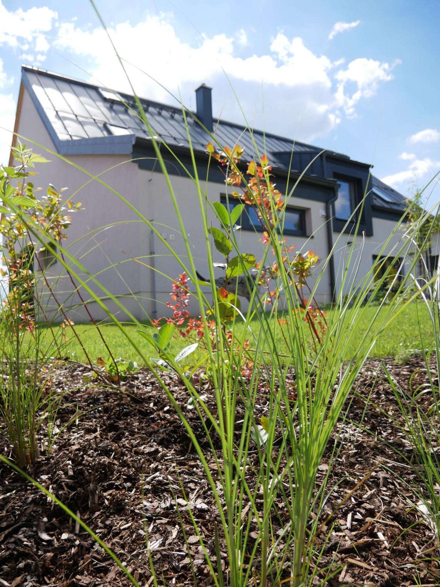 Apartmán Sychrova Zďár nad Sázavou Exterior foto